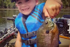 Young boy caught a bluegill