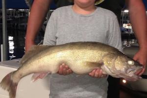 Young angler hold a fat walleye