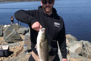 Angler holding stripe bass
