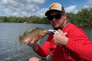 Angler caught a Mayan Cichlid fish