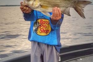 Young angler catching Summer Striper
