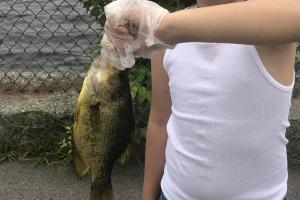 Young boy angler holding fish