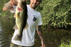 Largemouth Bass - Ansonia, CT