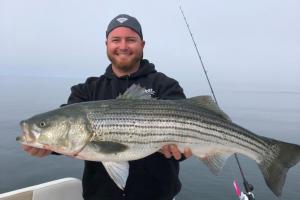 Angler holding big stripe bass