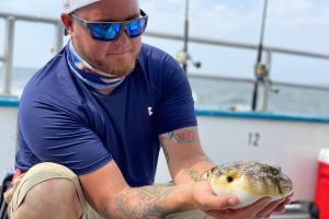Angler holding pufferfish