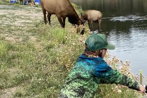Boy fishing with elk