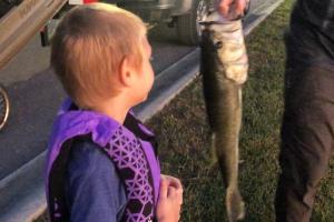 young boy looking at a bass