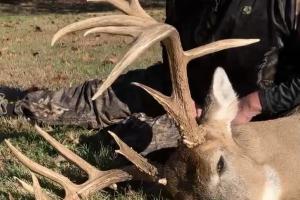 Proud hunter with buck harvest