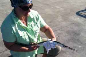 Braggin' Board Photo: Saltwater fishing