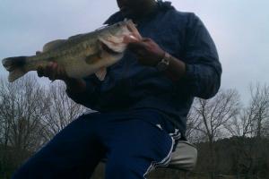 Braggin' Board Photo: Bass