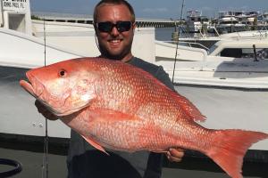 Braggin' Board Photo: Nice Size Snapper