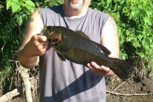 Braggin' Board Photo: Summer bass fishing