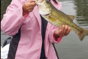 Braggin' Board Photo: Bass fishing