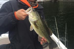 Braggin' Board Photo: Connecticut Bass Fish