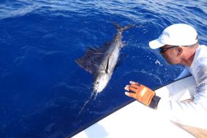 Braggin' Board Photo: Sailfish