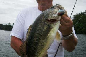 Braggin' Board Photo: Bass on a Crankbait