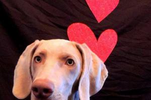 Braggin' Board Photo: Love Your Dog