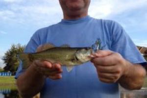 Braggin' Board Photo: 1st cast in 22 yrs caught this bass