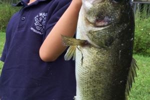 Braggin' Board Photo: MICHAEL'S HUGE BASS!!!