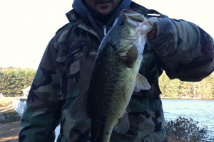 Braggin' Board Photo: Late Novermber Bass