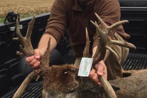 Braggin' Board Photo: Nice Buck