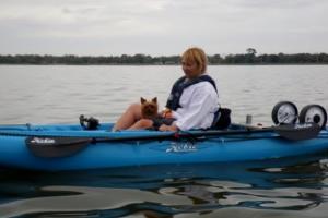 Braggin' Board Photo: Yorkie goes kayaking
