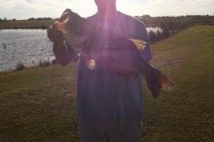 Braggin' Board Photo: Bass catch of the day