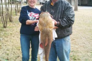 Braggin' Board Photo: Carolyn s Yellow Cat at Bend Tx