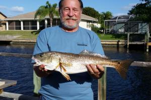 Braggin' Board Photo: Drums Red Drum - Fishing