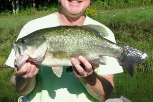 Braggin' Board Photo: Nice Bass