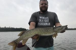Braggin' Board Photo: Nice Pike Caught on a Suick Thriller