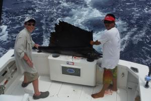 Braggin' Board Photo: Sailfish