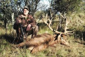 Braggin' Board Photo: free range red deer stag
