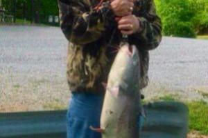 Braggin' Board Photo: Bank fishing - biggest catfish