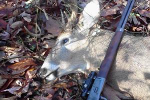 Braggin' Board Photo: Randalls Nice Buck