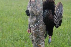 Braggin' Board Photo: Kansas Turkey
