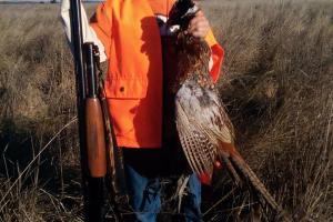 Braggin' Board Photo: Rifle+Pheasant=Fun