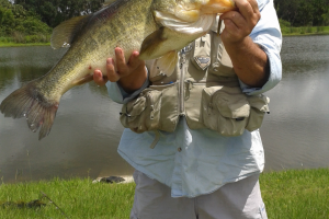 Braggin' Board Photo: Love to fish for Bass, 9 lb catch