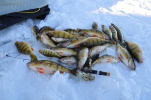 Braggin' Board Photo: Devils Lake North Dakota Ice Fishing