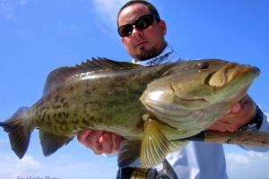 Braggin' Board Photo: Flaminfo Florida Fishing Robmunozgag