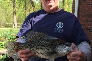 Braggin' Board Photo: Big Crappie trophy