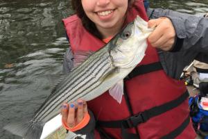 Braggin' Board Photo: Stripe Bass