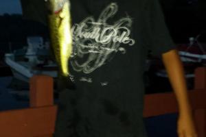 Braggin' Board Photo: Mike's Bass