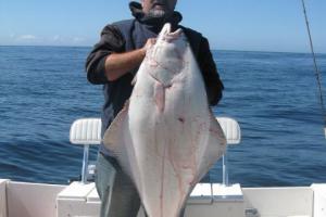 Braggin' Board Photo: Big Fish Halibut June 19