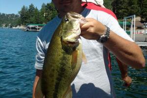 Braggin' Board Photo: Bass 4 0
