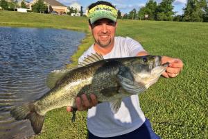 Braggin' Board Photo: Take a look at this Florida Bass