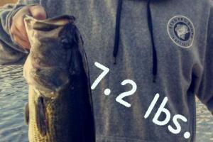 Braggin' Board Photo: Jesse's 7.2 lb Bass