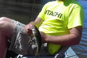Braggin' Board Photo: Catch & Release fishing