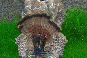 Braggin' Board Photo: Turkey Hunting in Pennsylvania