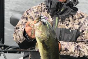 Braggin' Board Photo: Spinnerbait Large Mouth